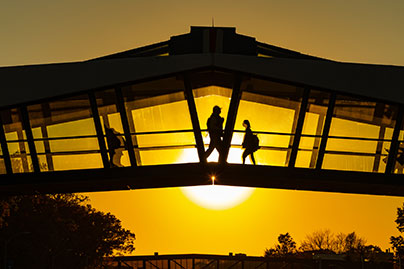 Students walking on a footbridge at sunset. Links to Closely Held Business Stock stock.jpg